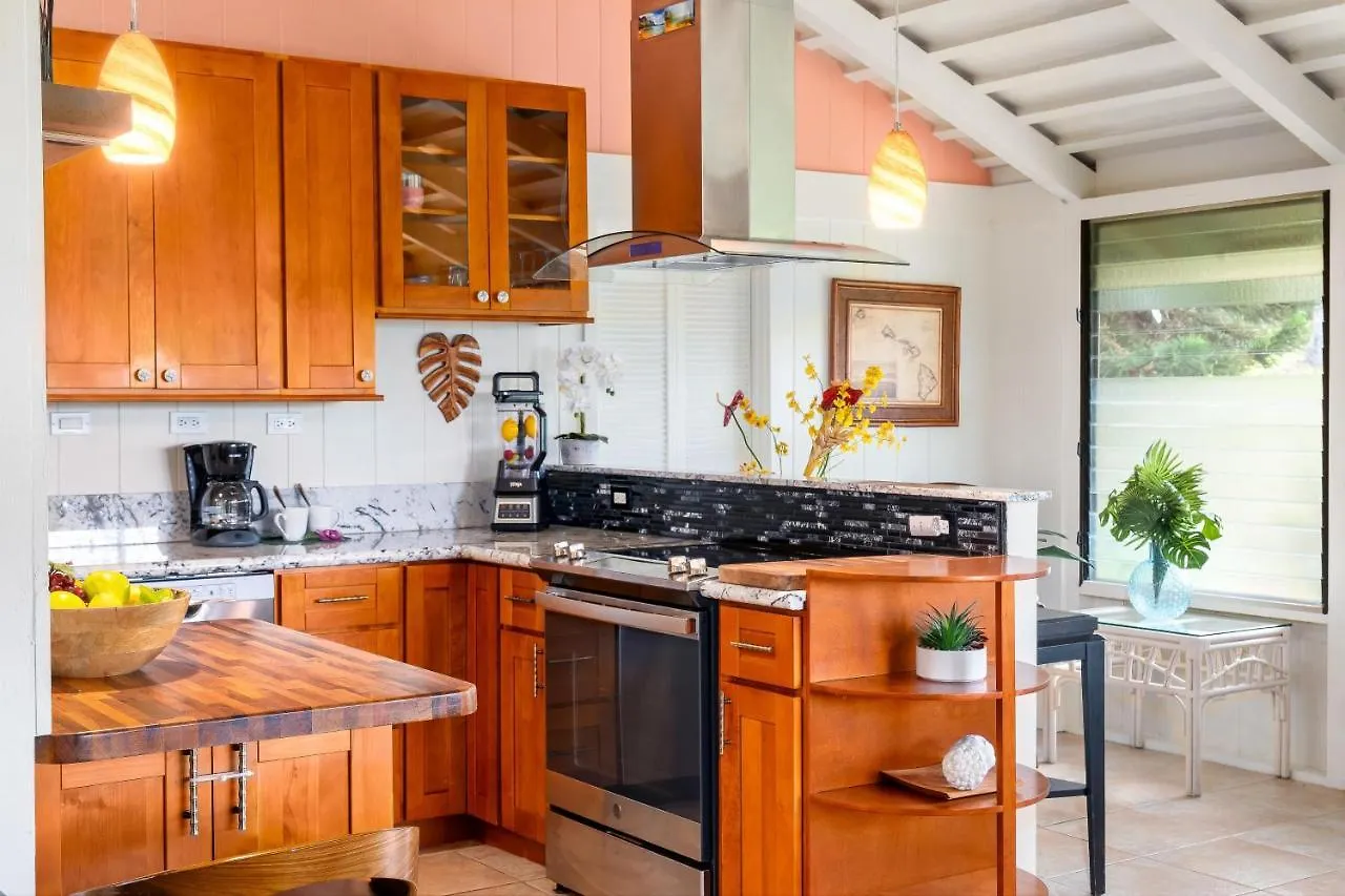 International Colony Club 34 Villa Lahaina